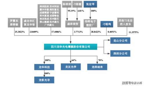 龍華薄膜 新三板退市轉(zhuǎn)戰(zhàn)創(chuàng)業(yè)板，技術(shù)短板與會(huì)計(jì)隱憂成挑戰(zhàn)